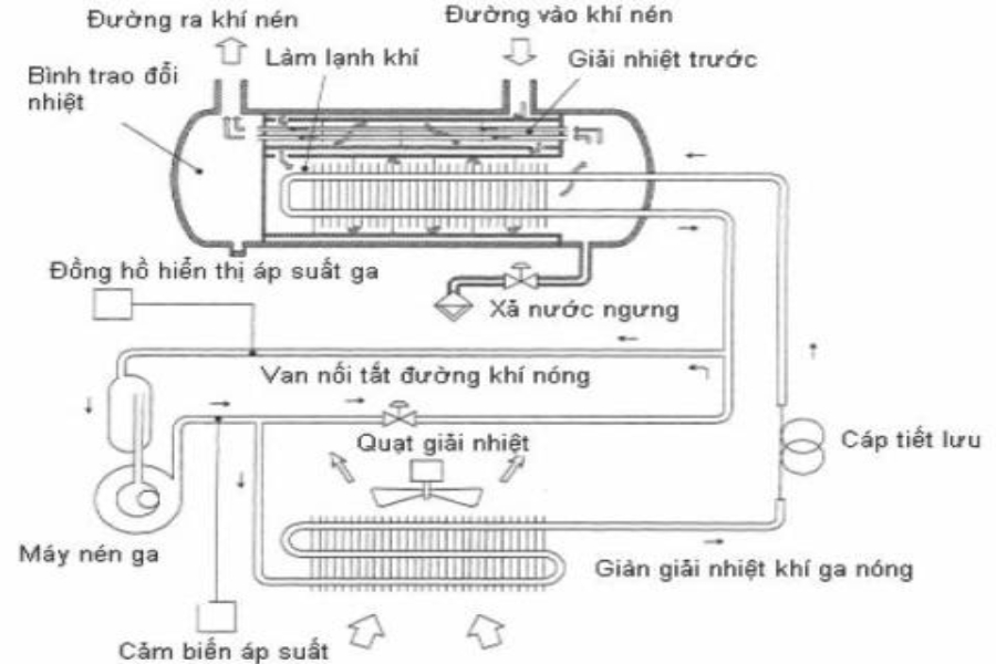 cấu tạo máy nén khí không dầu